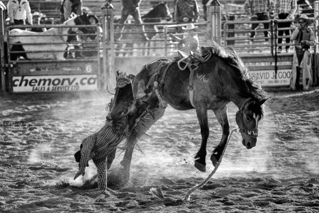 More bronc riding (or should that be diving?)
